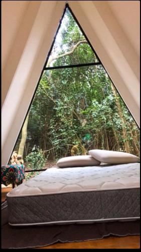 Forest Glam in San Andres de Giles