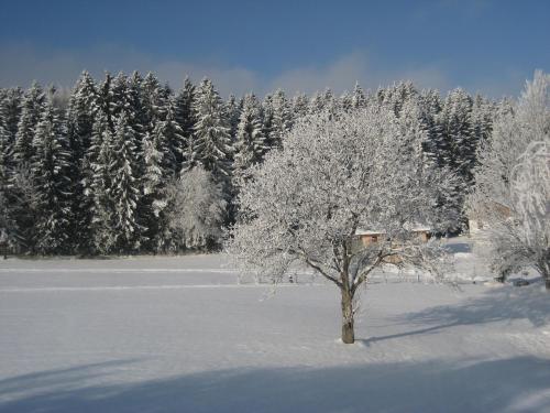 Kilátás, Ferienwohnungen Weber in Kirchberg im Wald