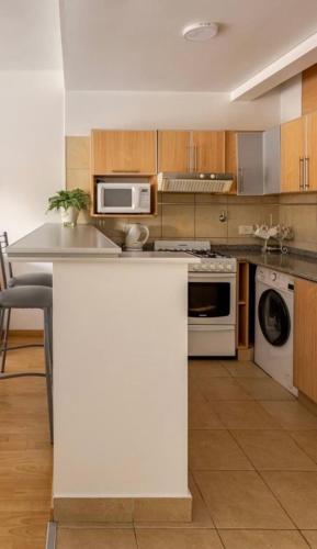 Beautiful Apartment Recoleta - image 5