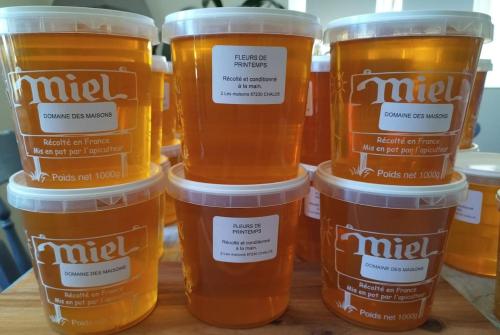 Vacation home in PNR Haute-Vienne Perigord in Chalus (Limousin)