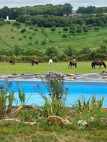 Vacation home in PNR Haute-Vienne Perigord in Chalus (Limousin)