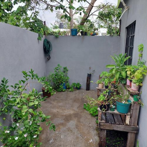 Casa Ju in Emiliano Zapata