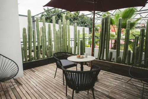 Stylish Colonial Stay in Roma Norte W Rooftop 8BR - image 4