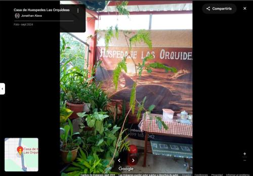 Hostal las orquideas