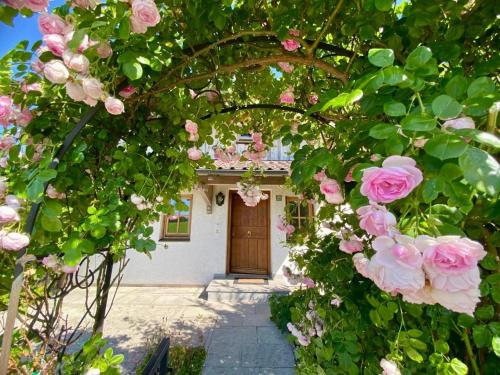 Accommodation in Winzer, Markt