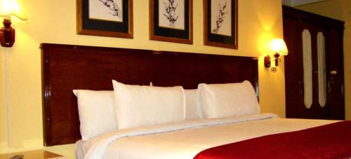 Alexandria Mediterranean Suites Room Type - Standard Single Room