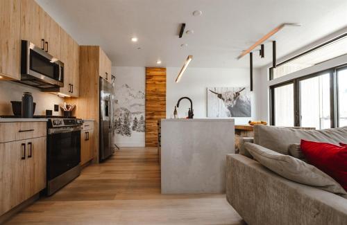 Luxury modern, Central Ski, No stairs, EV!