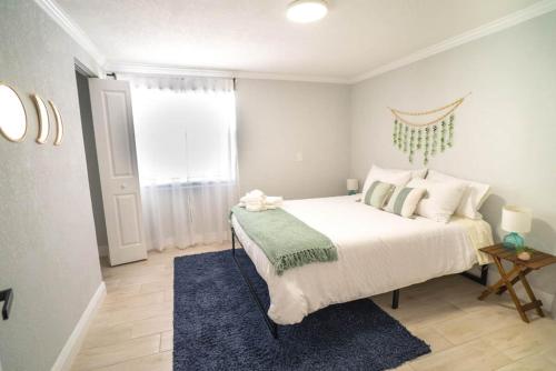Tranquil & Fully Renoveted Home Near Busch Gardens in Tampa, USA