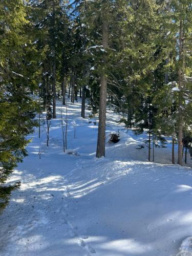 3 Спални - Електрическо Подово Отопление - Бърз WiFi - Веранда - В Гората - Warm Forest Nest Pamporovo, Pamporowo (Foto 7)