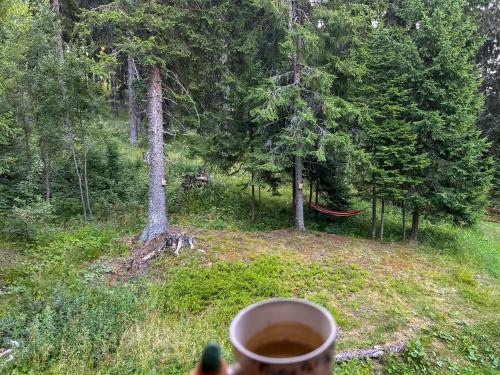 3 Спални - Електрическо Подово Отопление - Бърз WiFi - Веранда - В Гората - Warm Forest Nest Pamporovo, Pamporowo (Foto 4)