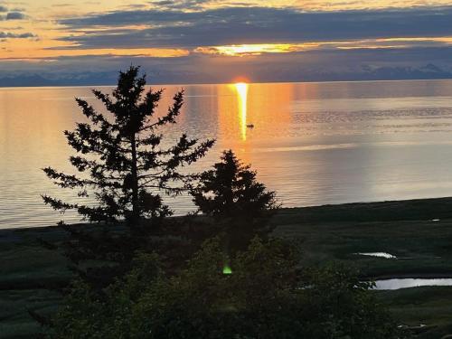 The View in Enhorpointa (AK)