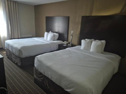 Comfort Inn Room Type - Quadruple Room with Two Queen Beds - Non Smoking/Pet Friendly