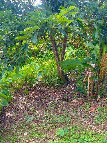 Alrededores, Le Petit Paradis in Saint George