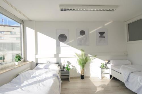 MZK Maier LongStay Central in Pforzheim