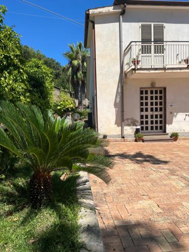 Clorofilla - Country House in Francavilla Angitola