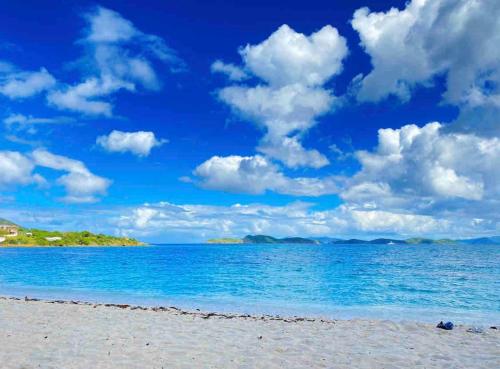 Couples Getaway 1bed 1bath Condo In Red Hook in Red Hook