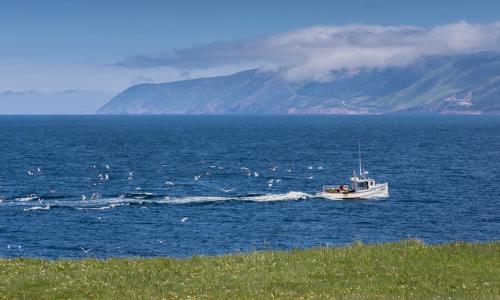 สภาพแวดล้อมโดยรอบ, The Archie & Isidore Hotel in เชติแคมพ์ เอ็นเอส