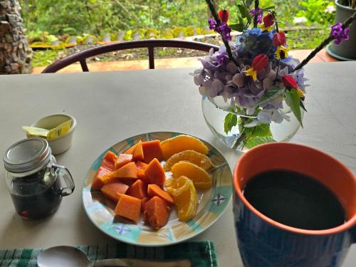 Reserva y Estancia Robles Mimosos Lodge in Cartago