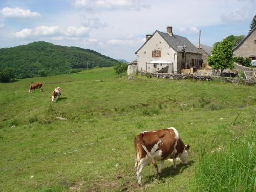 Chez Marraine - Hotel - Sauvat