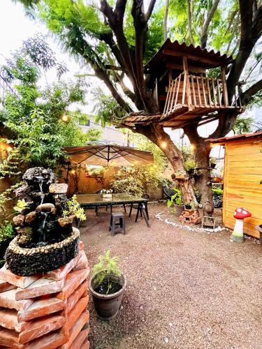 Casita del Arbol - Cuernavaca