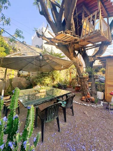 Vườn, Casita del Árbol (Casita del Arbol) in Thành phố Mexico