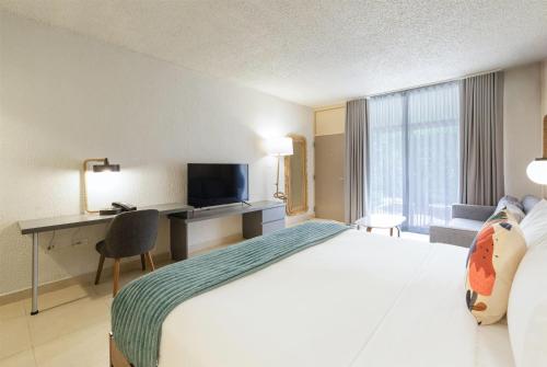 Costa Collection, 1 King Bed, Poolside