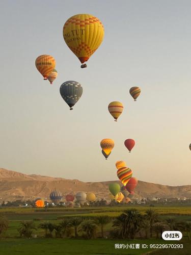 Luxor Continental flat 2-Star Single Room view