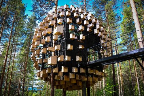 Treehotel, Харадс (фото 2)