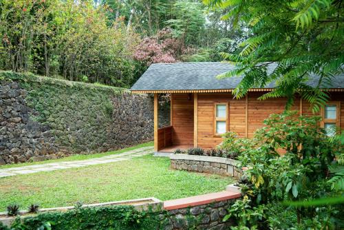 Misty Mountain Experience