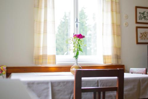 Faciliteter, Ferienhaus Koglegg in Schwanberg