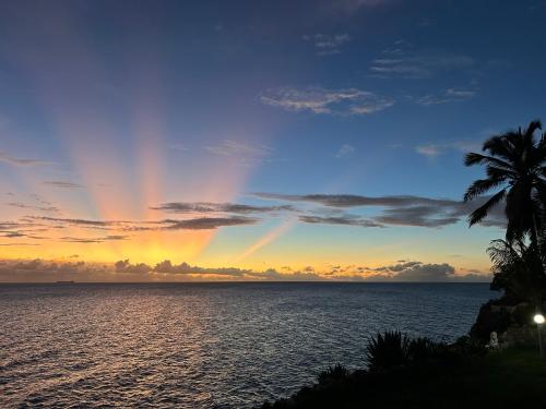 景觀, Coral Cliff in 索托