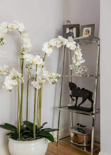 The Chelsea Cottage By Hok Living, Londýn (fotografie 6)