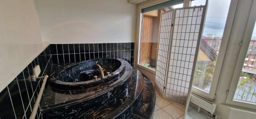 Penthouse with jacuzzi, sauna and rooftop, Curych (fotografie 7)