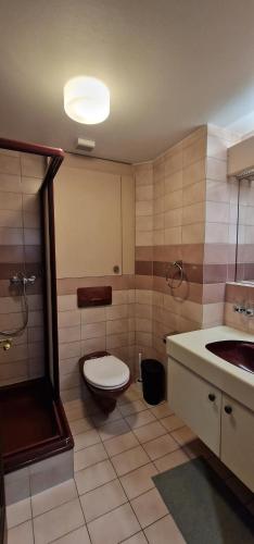 Penthouse with jacuzzi, sauna and rooftop, Curych (fotografie 10)
