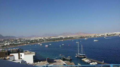 Grand Halomy Megan in Sharm El Sheikh