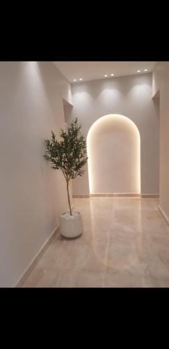 יוקרה בסימטה in Safed