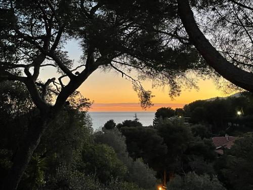 Appartamento Gemma in Villa a Pinamare gîte à louer Marina d'Andora