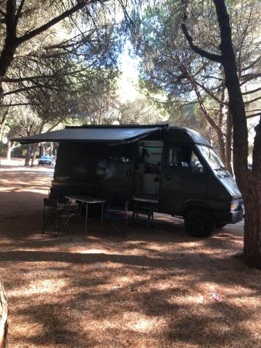 Fandvan, Amadora (photo 6)
