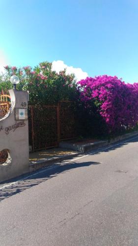  Le Gardenie da Fil in Bordighera