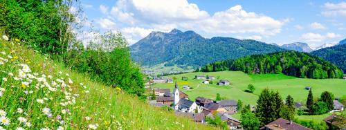 Ferienhaus Sinz in Schwarzenberg