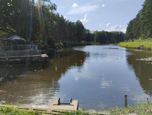 Zacisze na Tymianie in Chycina