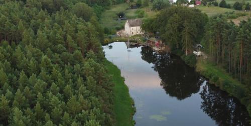 Zacisze na Tymianie in Chycina