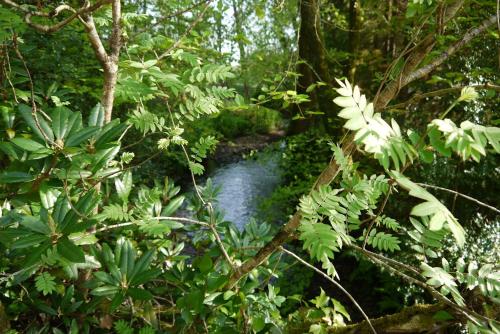 The Nest at Riverside Cottage in 鄧克斯韋爾