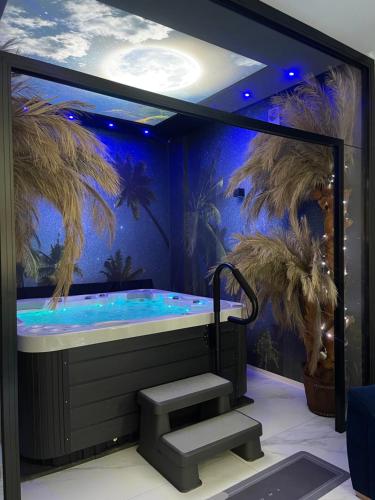 Apartament Księżycowy z jacuzzi