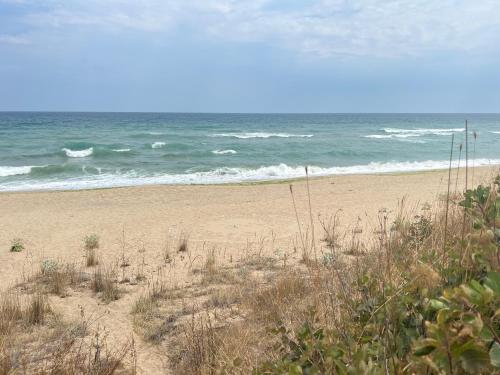 周邊環境, Палатка на Кара Дере in 比亞拉