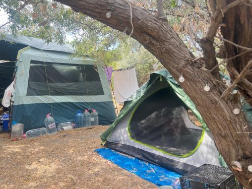 Палатка на Кара Дере in 比亞拉