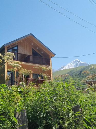 Vista Adishi in Tsaldashi