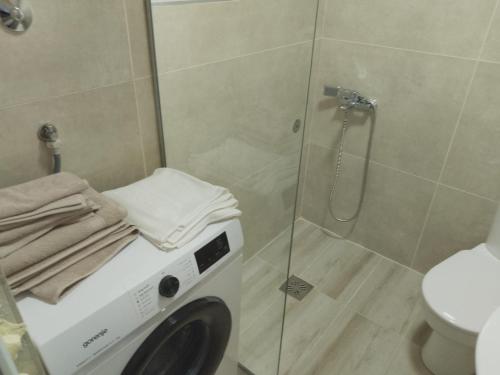 Guest house Danica - image 3