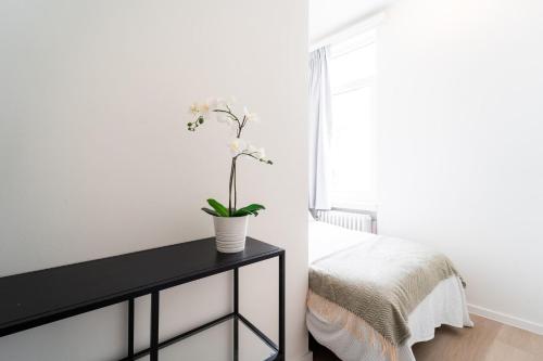 Cozy City-Center Apartments for 3 Guests, Antverpy (fotografie 7)