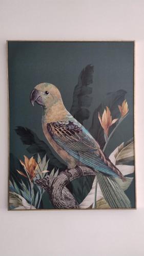 Casa Rocco chambre d'hôte Garaguso